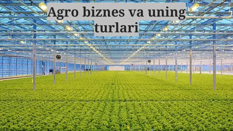 Agrobiznes va uning turlari