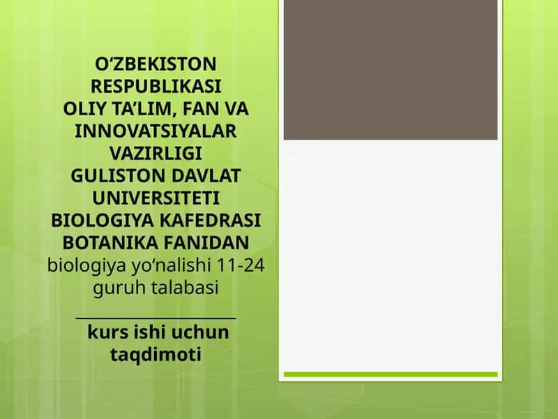 Protoplast hosilalari