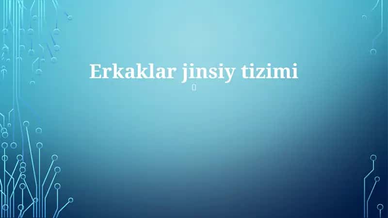 Erkaklar jinsiy tizimi