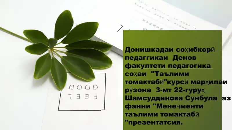 Идоракунии раванди педагогии дар мтт