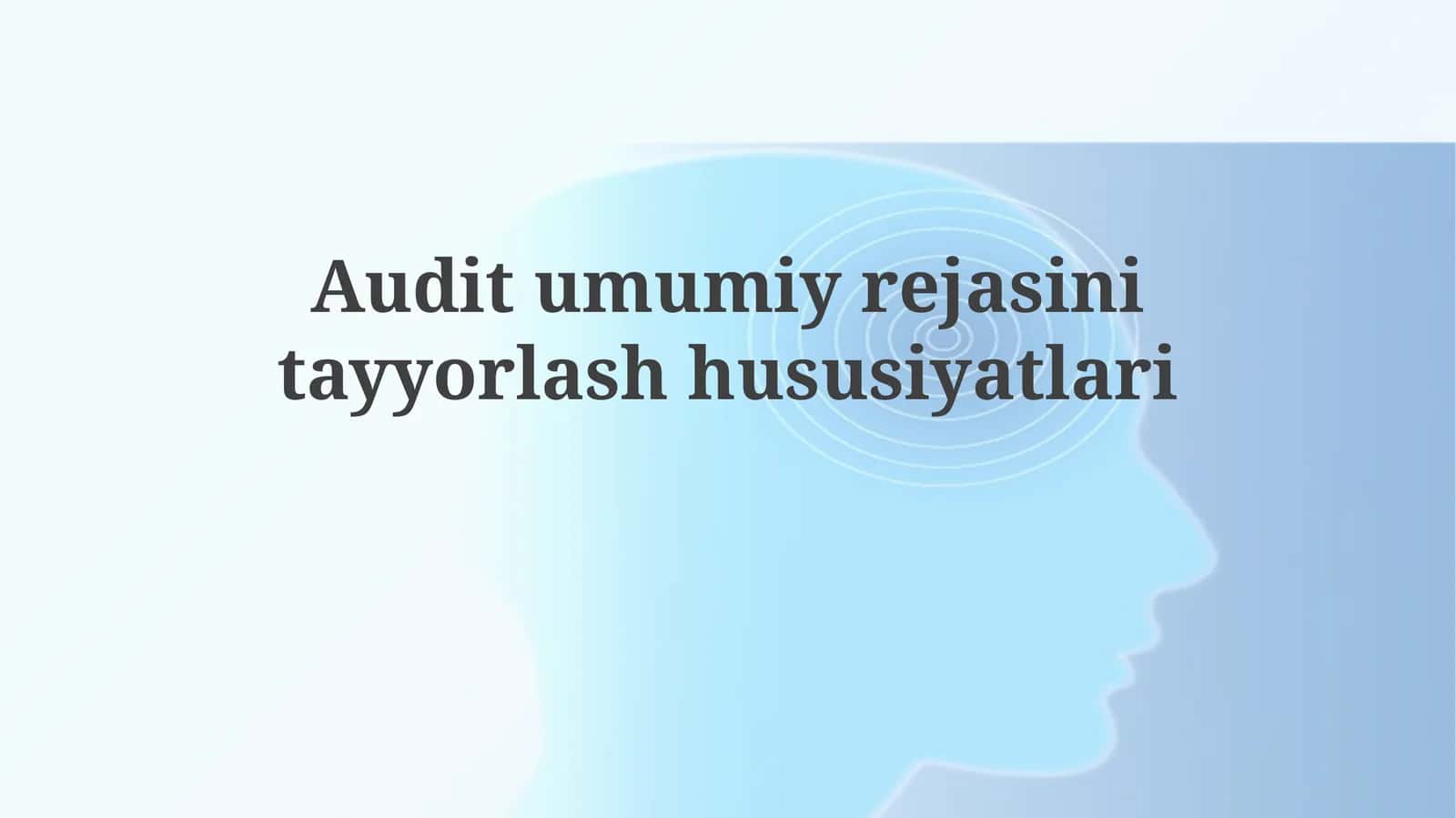 Auditumumiyrejasinitayyorlashhususiyatlari