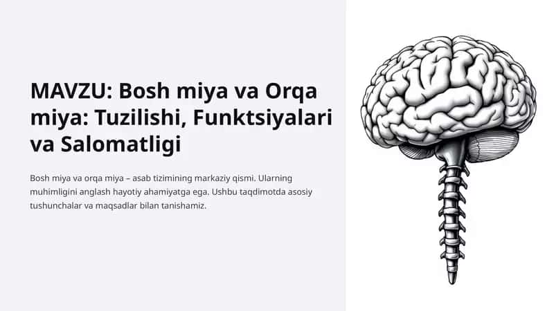 Bosh miya va Orqa miya: Tuzilishi, Funktsiyalari va Salomatligi