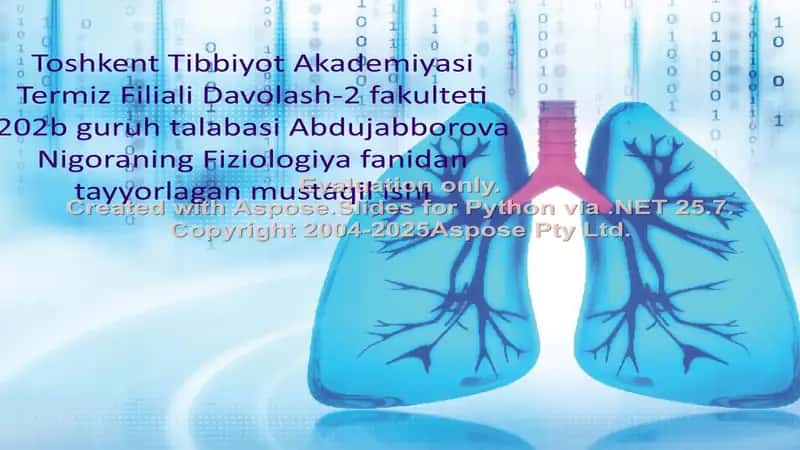 Nafas olshni vazifasi va nafas olishning boshqarilishi