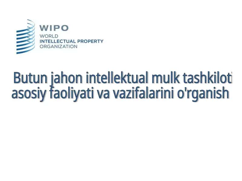 Jahon intellektual mulk tashkiloti