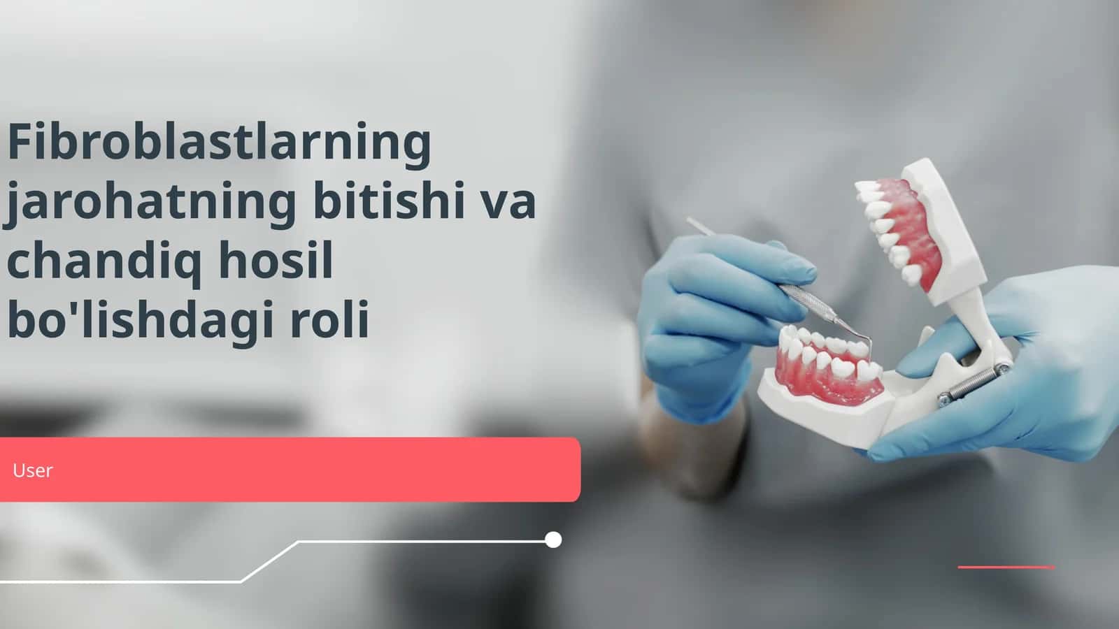 Fibroblastlarning jarohatning bitishi va chandiq hosil bo'lishdagi roli
