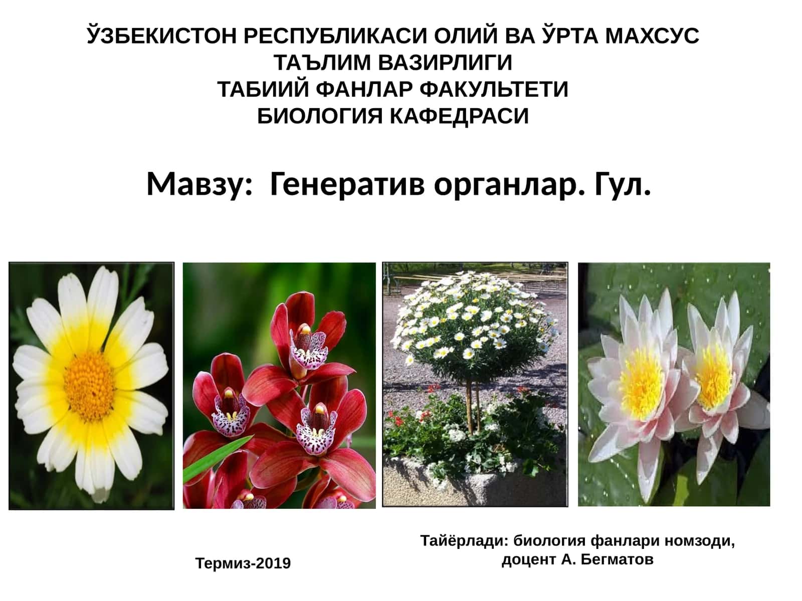 Генератив органлар. Гул