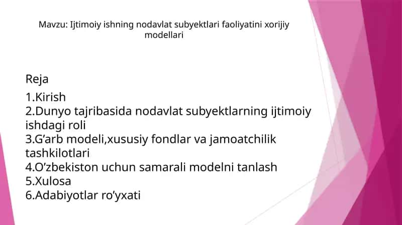 Ijtimoiy ishning nodavlat subyektlari faoliyatini xorijiy modellari