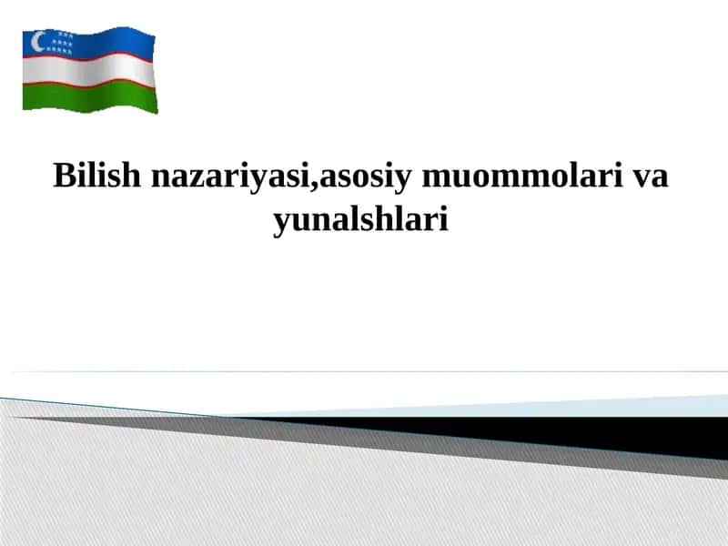 Bilish nazariyasi,asosiy muommolari va yunalshlari