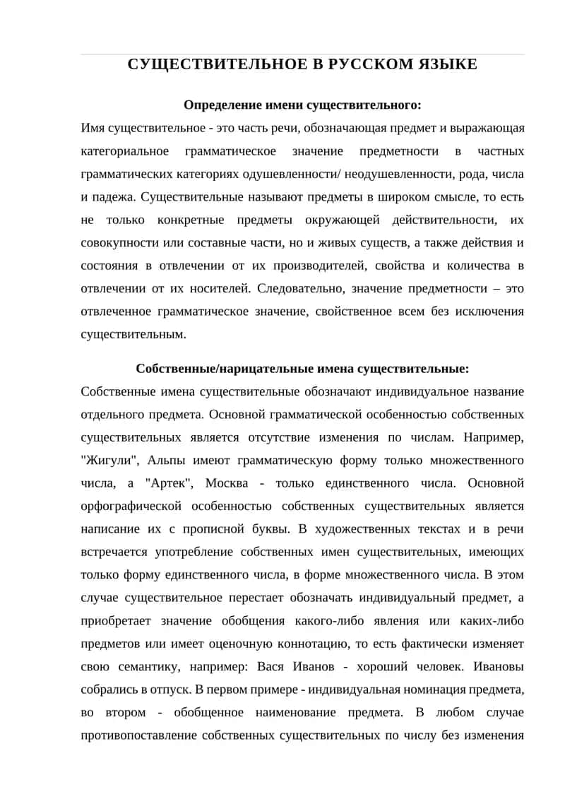 Существительное в русском языке