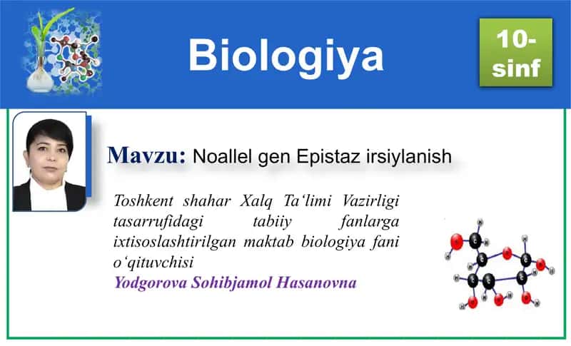 Noallel gen Epistaz irsiylanish
