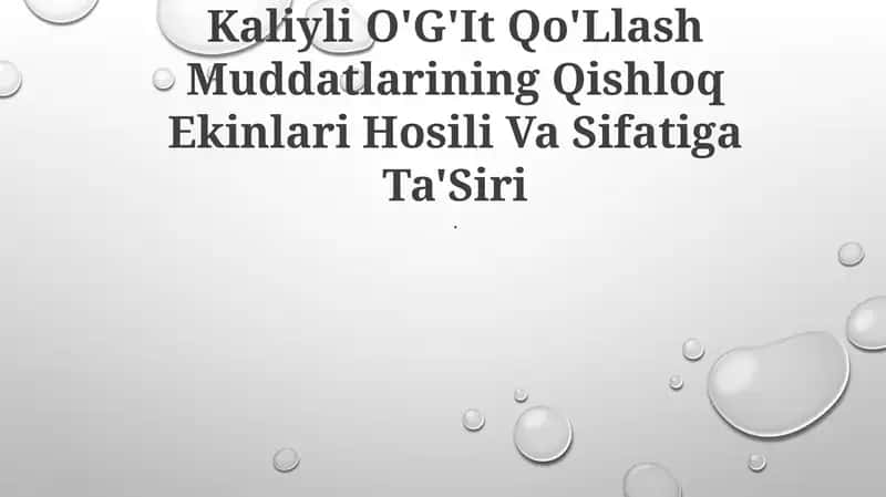 Kaliyli O'G'It Qo'Llash Muddatlarining Qishloq Ekinlari Hosili Va Sifatiga Ta'Siri