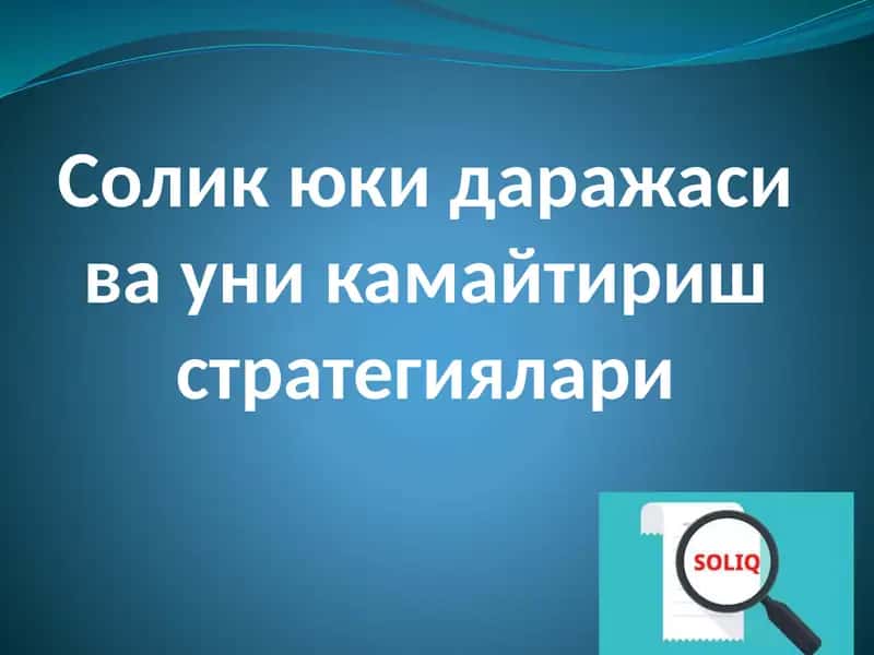 Солик юки даражаси ва уни камайтириш стратегиялари
