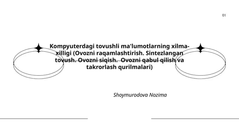Kompyuterdagi tovushli ma'lumotlarning xilma-xilligi