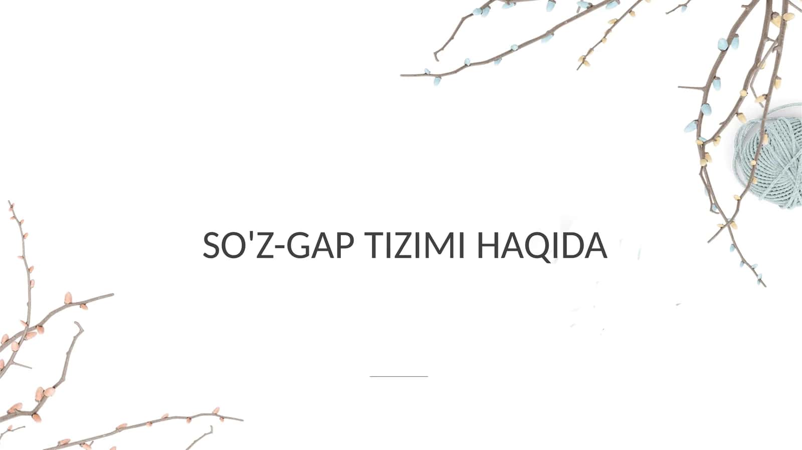 SO'Z-GAP TIZIMI HAQIDA