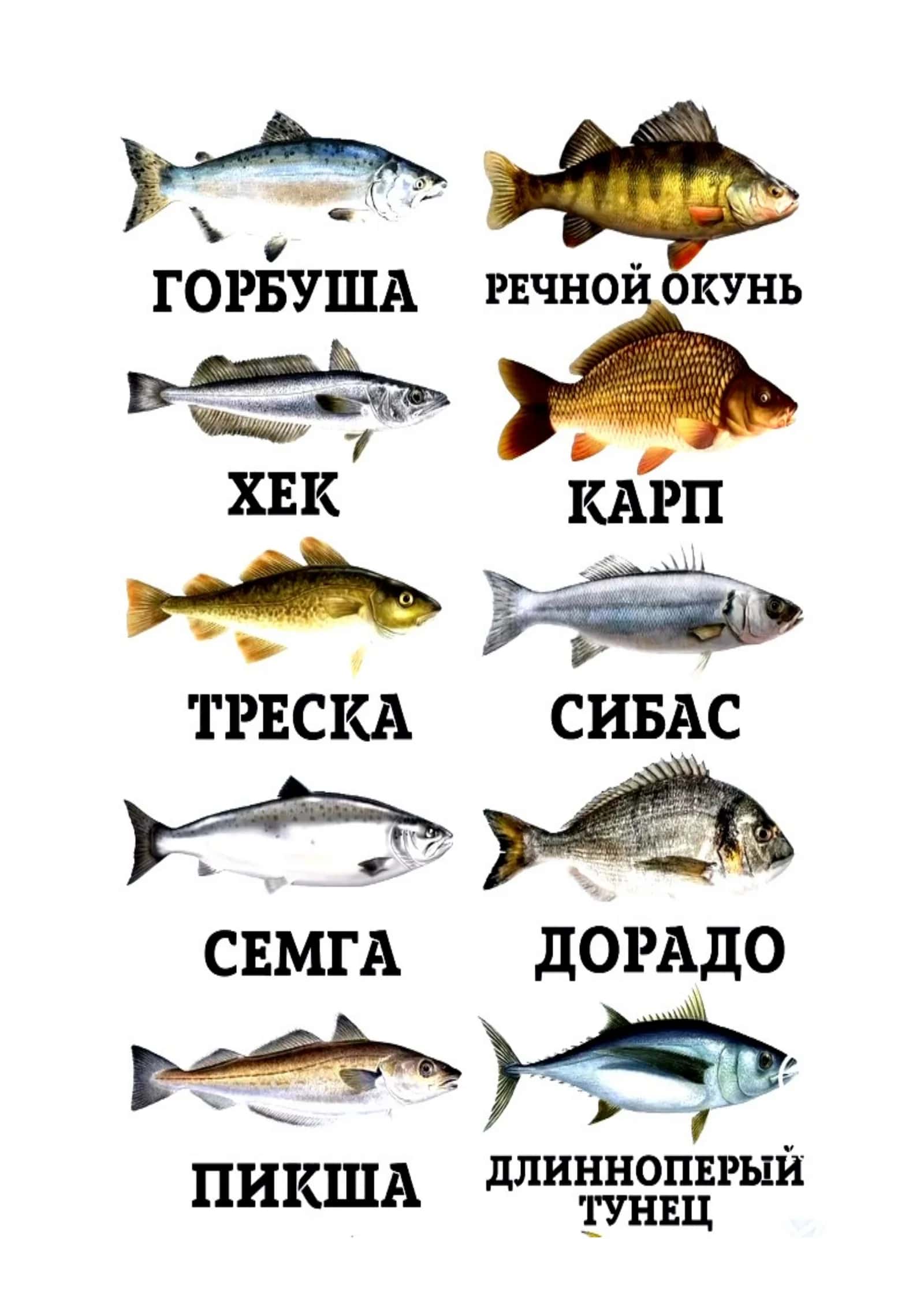 Mustaqil ishlar – Tibbiyot nazorat topshiriqlari va javoblar (2010-2021)