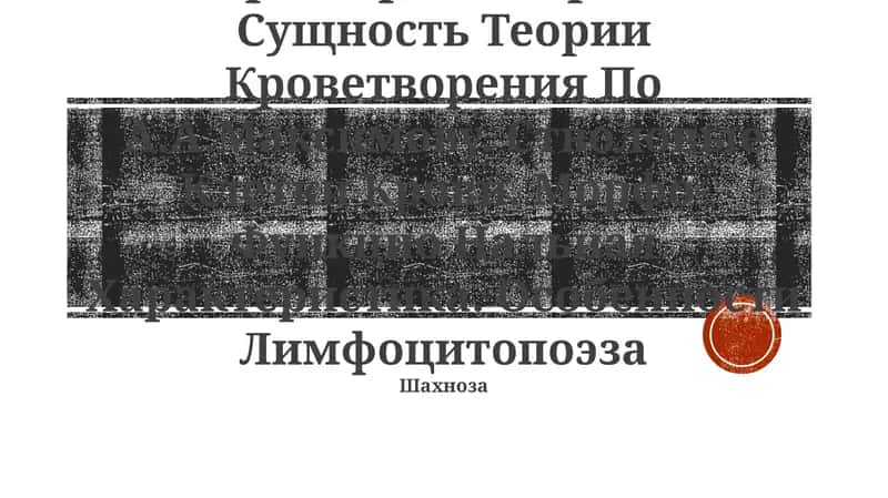 Теории Кроветворения