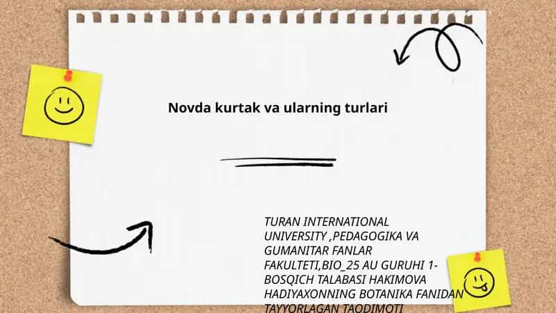 Novda kurtak va ularning turlari