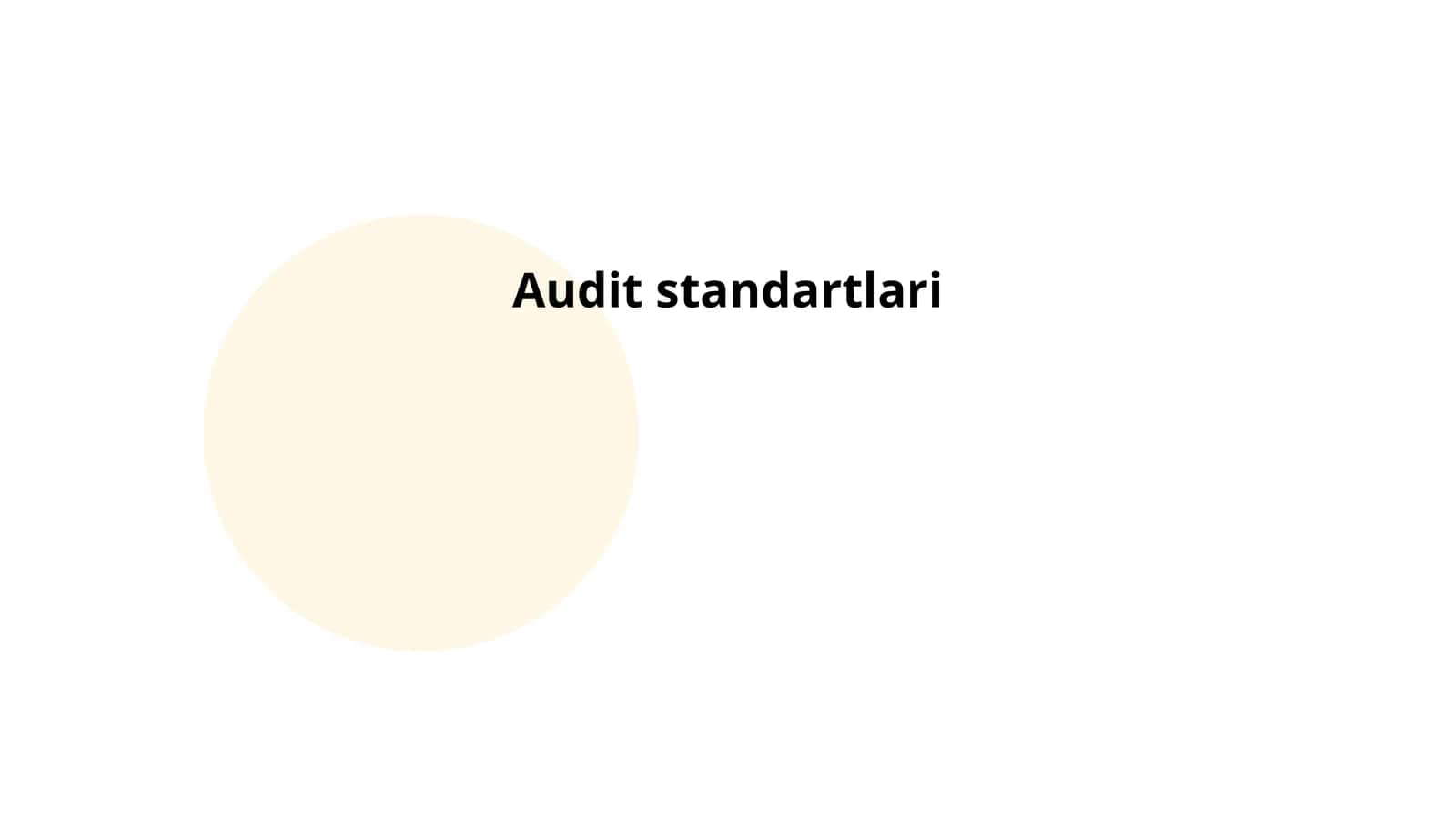 Audit standartlari