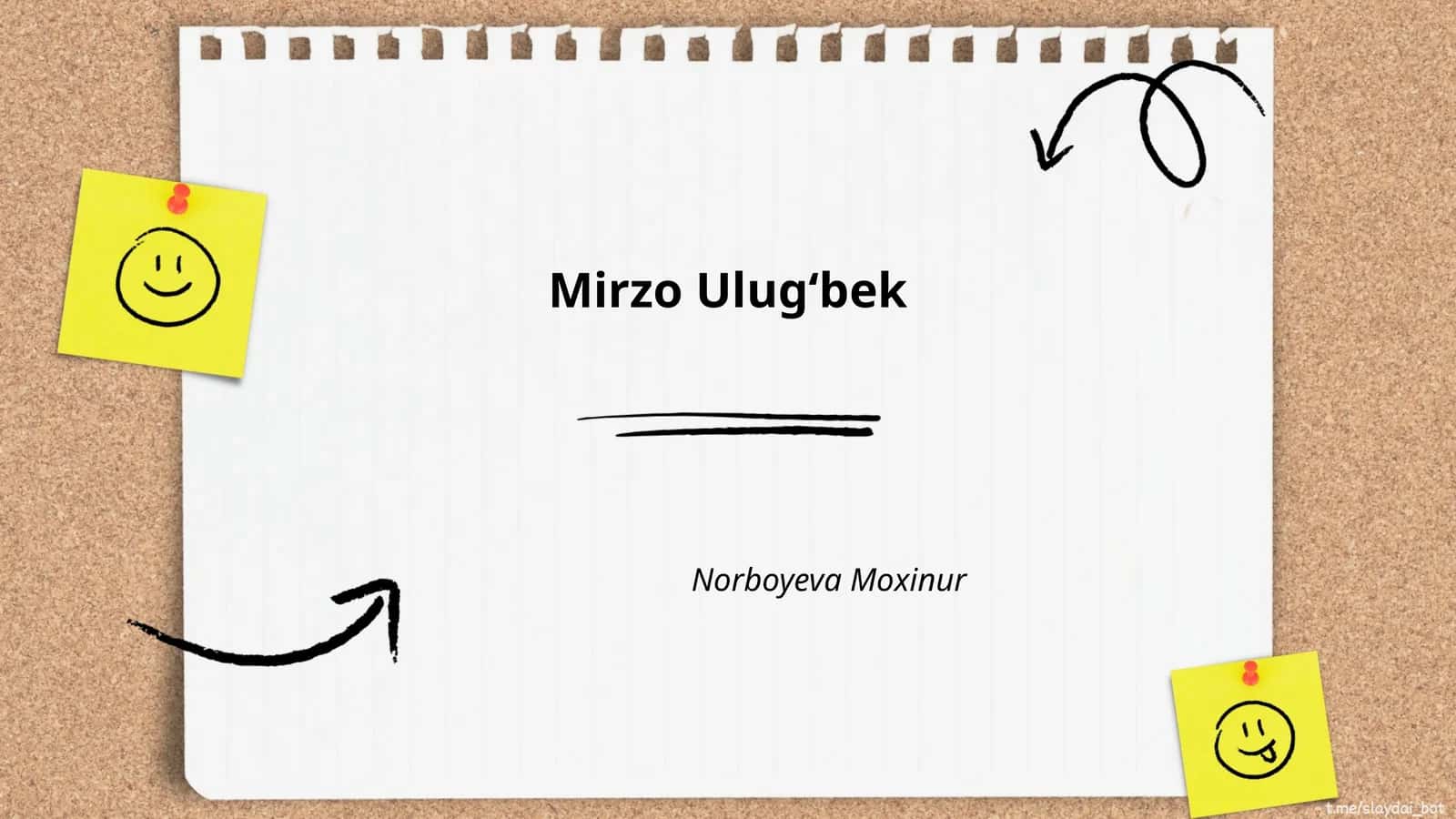 Mirzo Ulugʻbekning hayoti