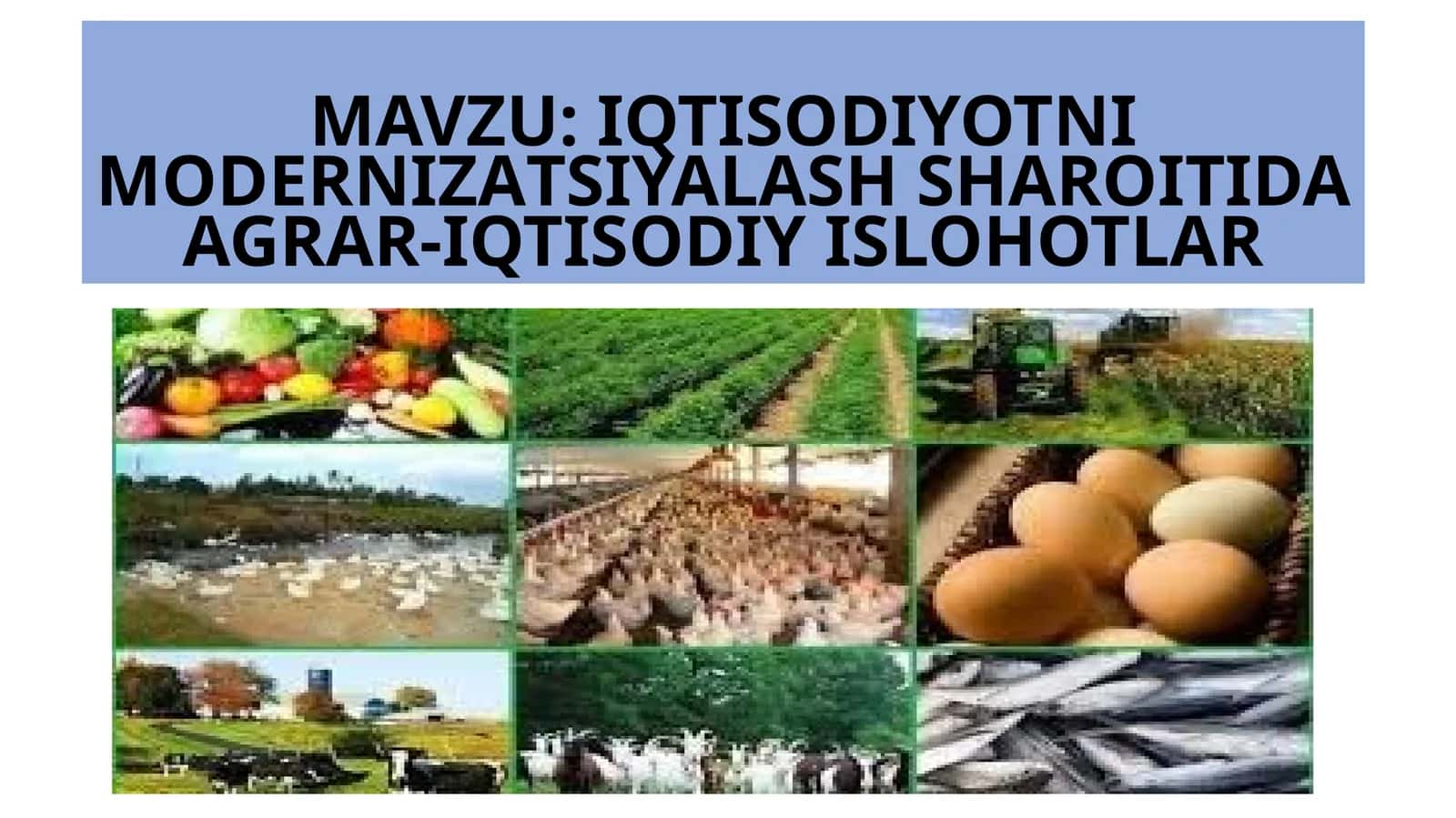 IQTISODIYOTNIMODERNIZАTSIYALASH SHAROITIDAAGRAR-IQTISODIY ISLOHOTLAR