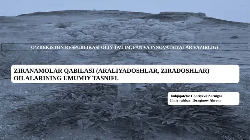 ZIRANAMOLAR QABILASI (ARALIYADOSHLAR, ZIRADOSHLAR) OILALARINING UMUMIY TASNIFI