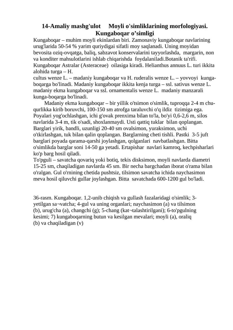 14-Amaliy mashg'ulot Moyli o'simliklarining morfologiyasi. Kungaboqar o’simligi