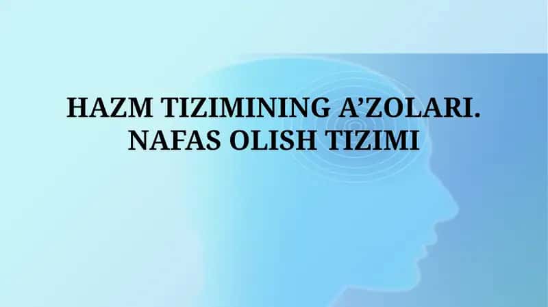 Hazm tizimining a'zolari