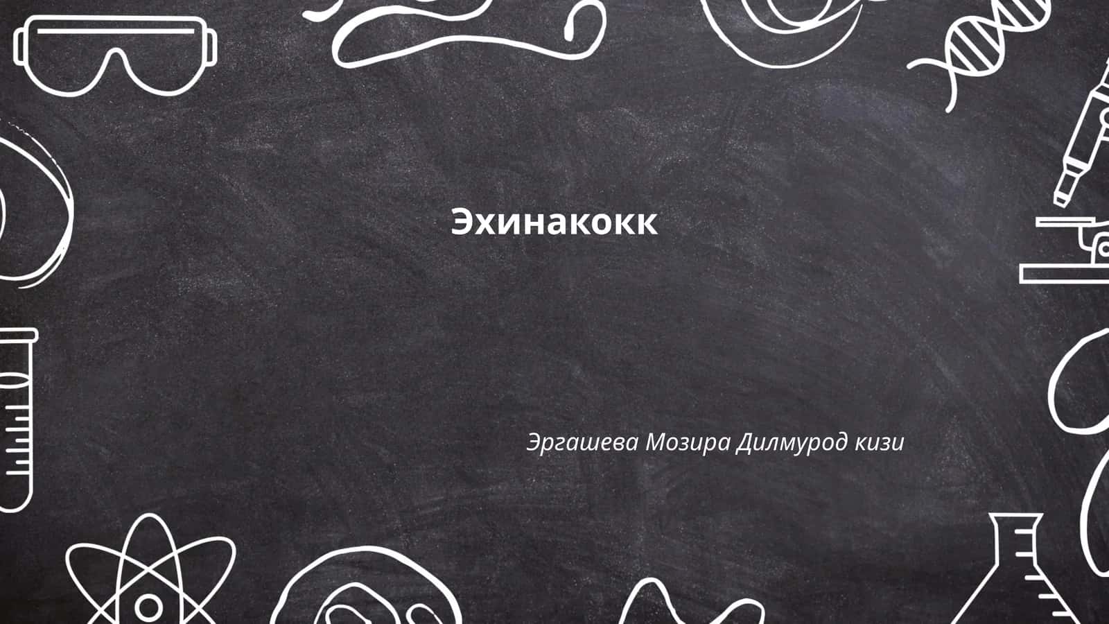 Эхинакокк