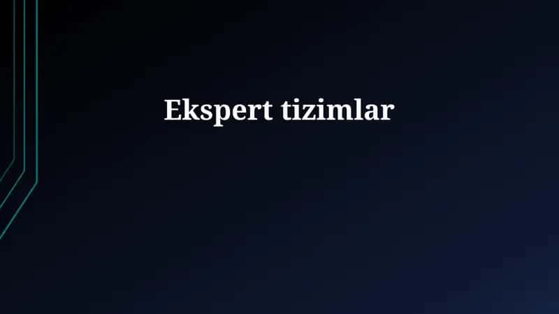 Ekspert tizimlar