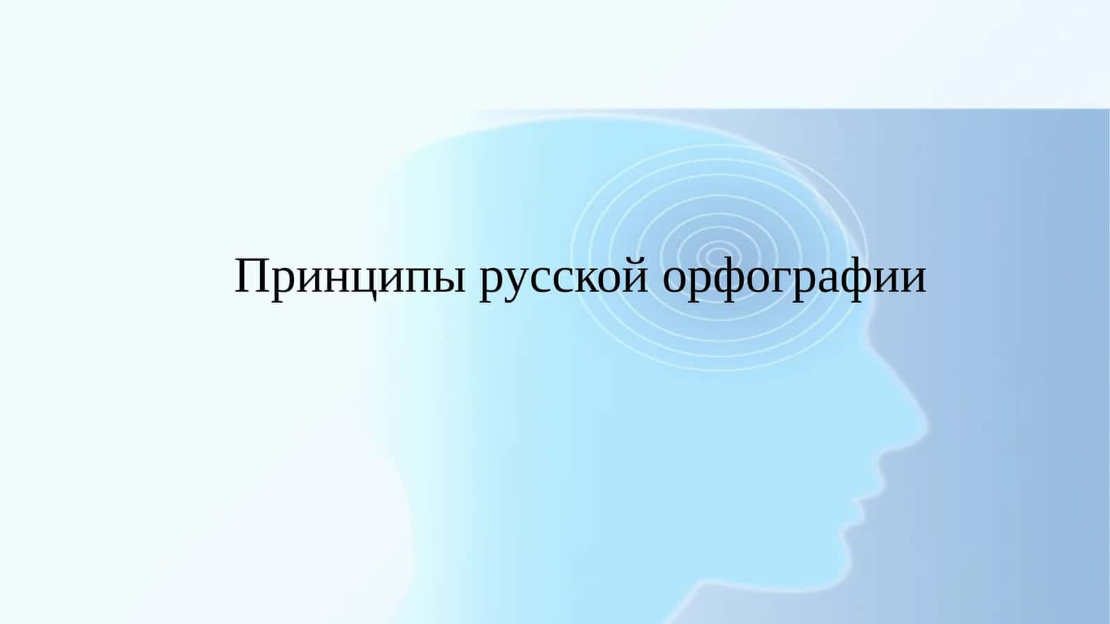 Принципы русской орфографии