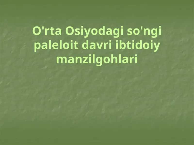 O'rtaOsiyodagi so'ngi paleolit davri ibtidoiy manzilgohlari