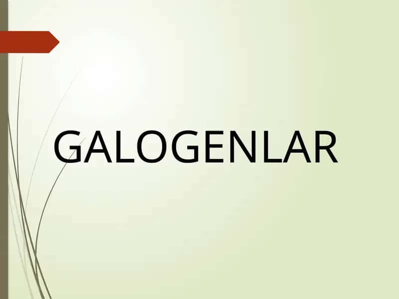 GALOGENLAR