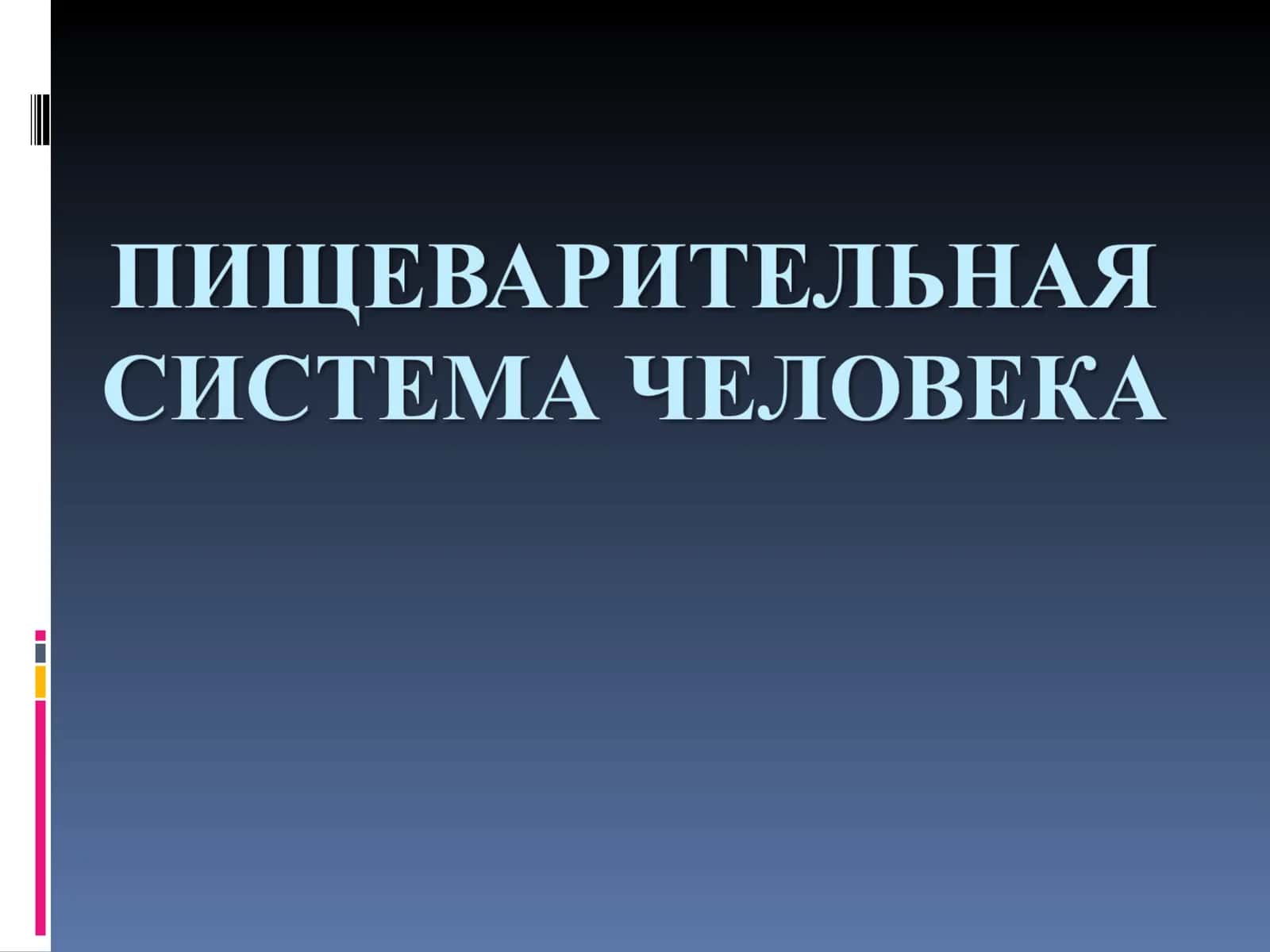 Пищеварительная система и процесс пищеварения