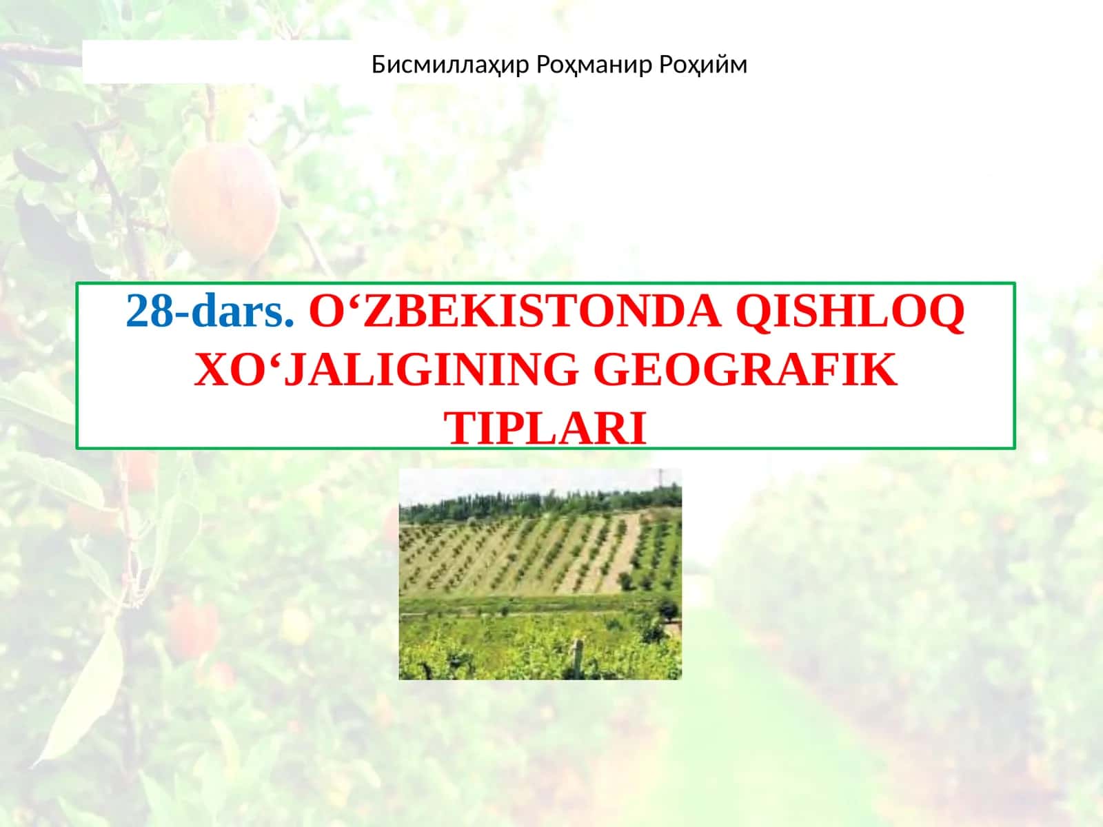 O'ZBEKISTONDA QISHLIQ HOJALIGINING GEOGRAFIK TIPLARI