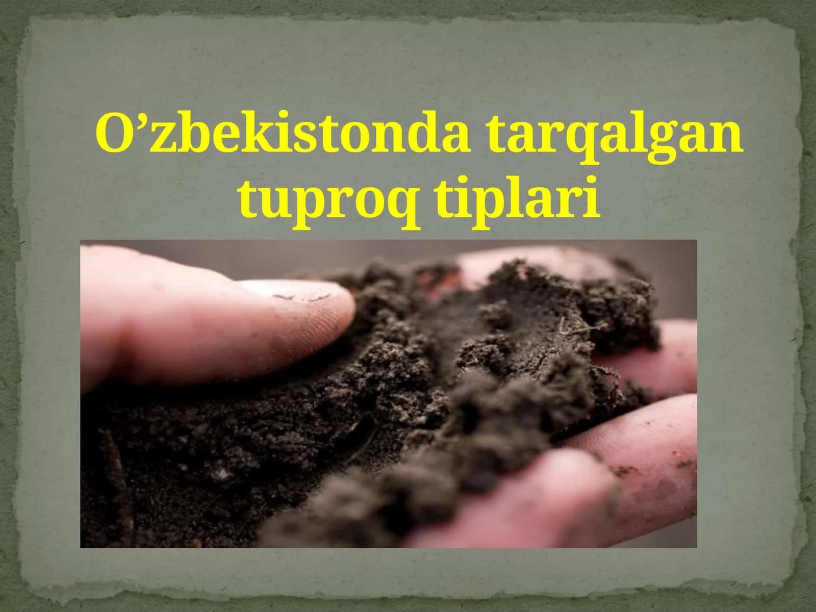 O’zbekistondatarqalgantuproqtiplari