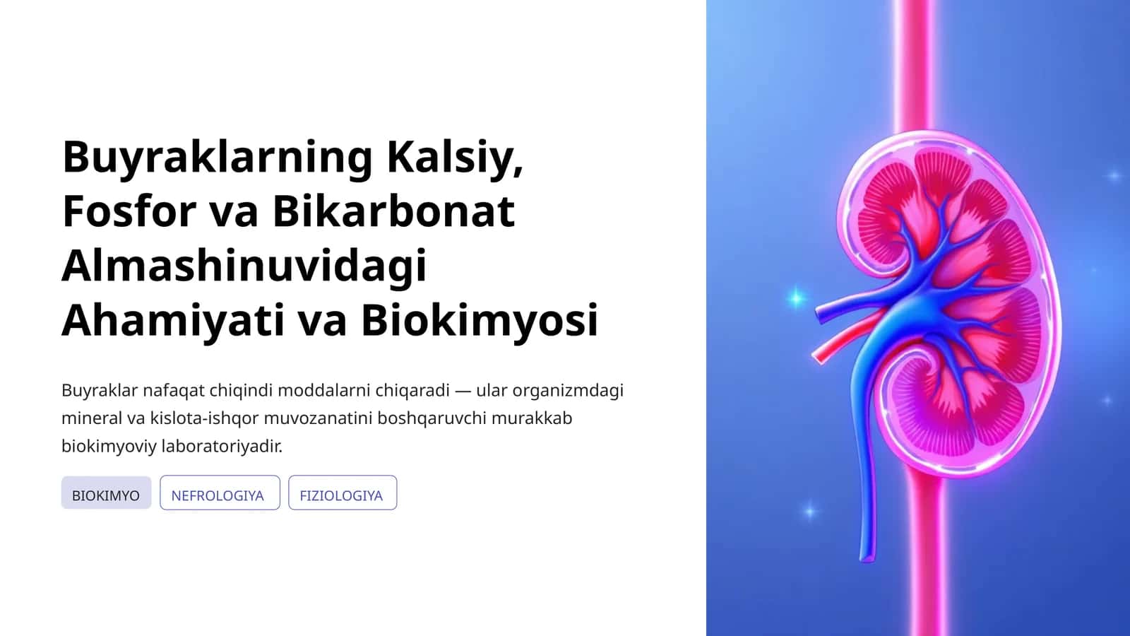 Buyraklarning Kalsiy, Fosfor va Bikarbonat Almashinuvidagi Ahamiyati va Biokimyosi