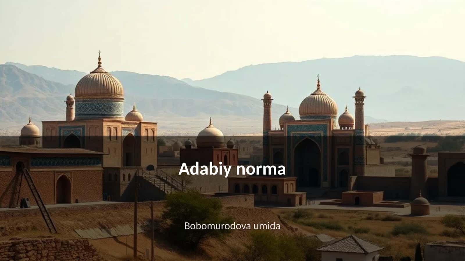 Adabiy norma