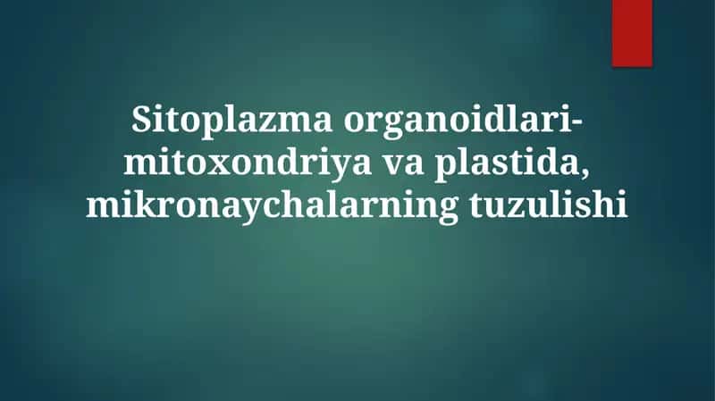 Mitoxondriyalar va Plastidalar: Tuzilishi, Vazifalari va Kelib Chiqishi