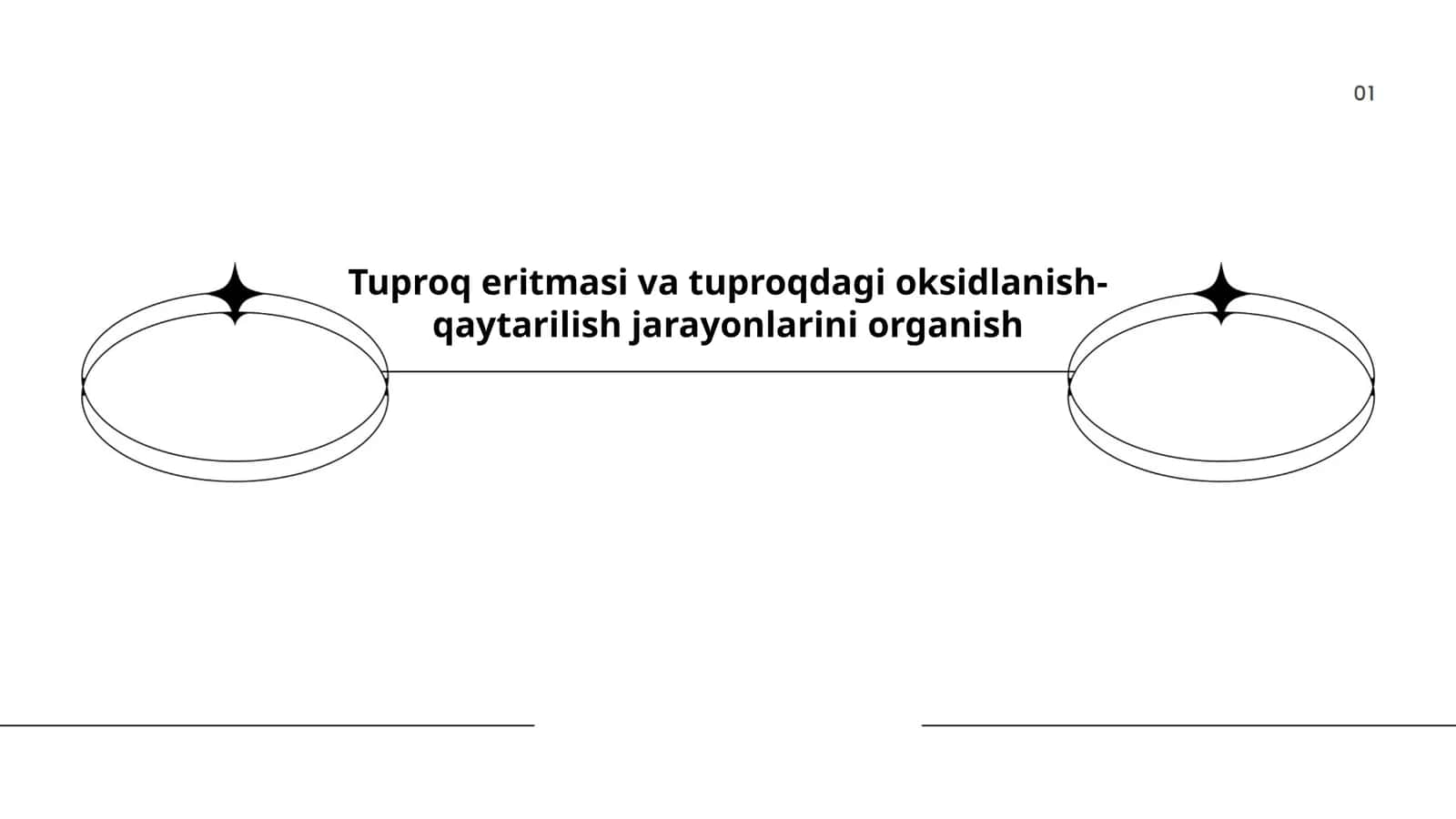 Tuproq eritmasining kimyoviy tarkibi
