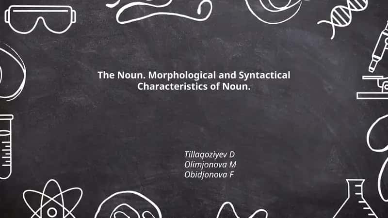 The Noun. Morphological and Syntactical Characteristics of Noun