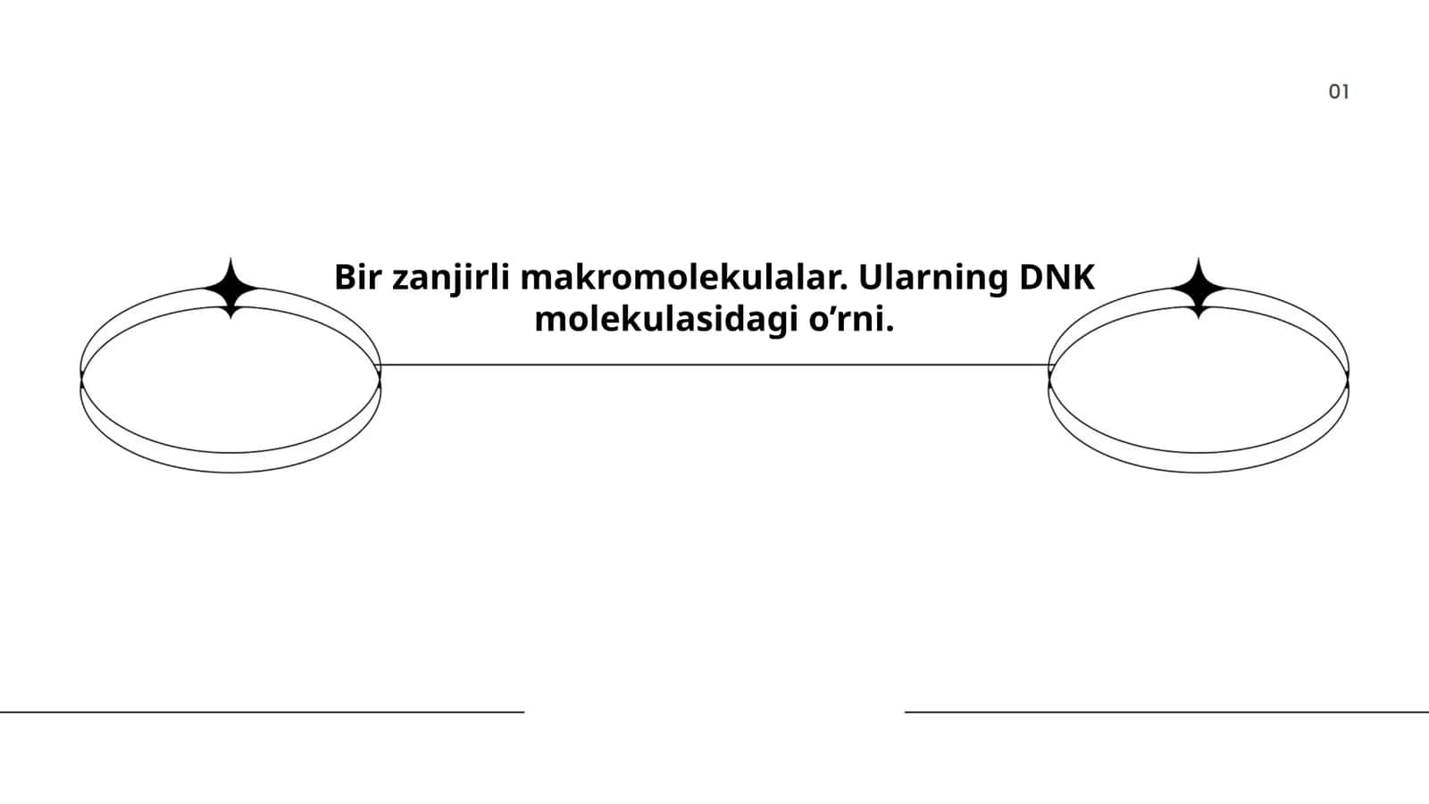 Zanjirli makromolekulalar