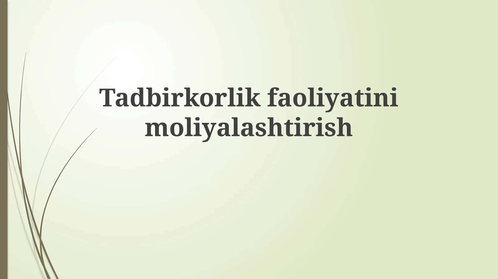Tadbirkorlikfaoliyatinimoliyalashtirish
