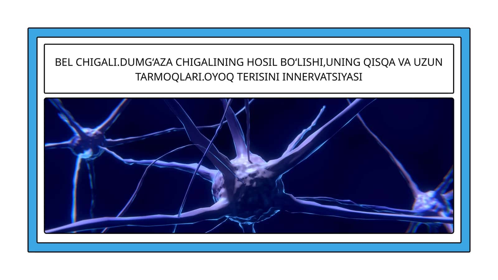 BEL CHIGALI.DUMG‘AZA CHIGALINING HOSIL BO‘LISHI,UNING QISQA VA UZUN TARMOQLARI.OYOQ TERISINI INNERVATSIYASI