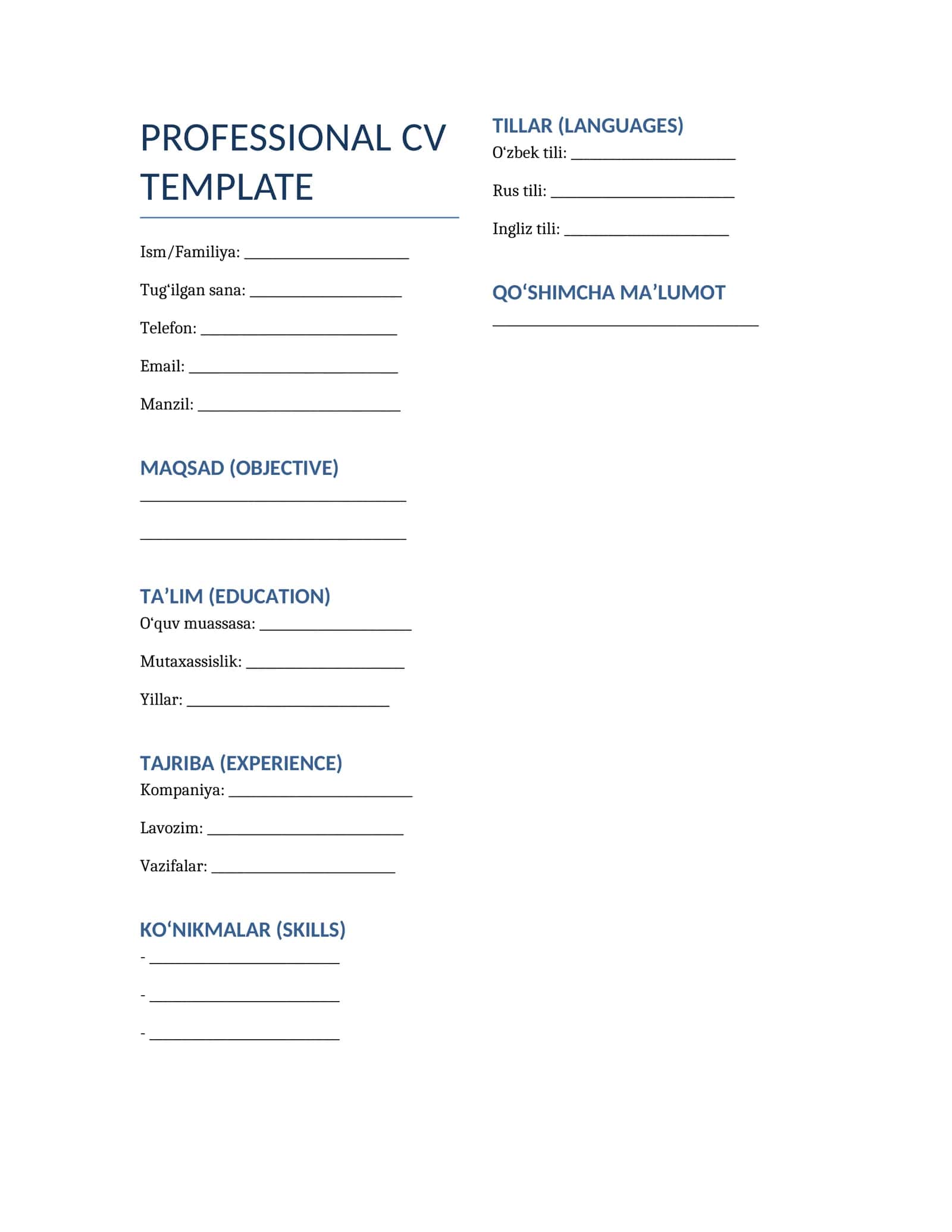 PROFESSIONAL CV TEMPLATE