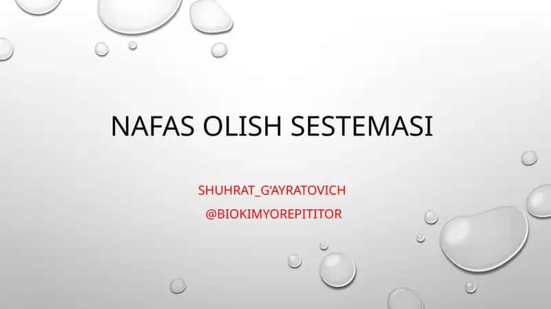 Nafas olish sestemasi