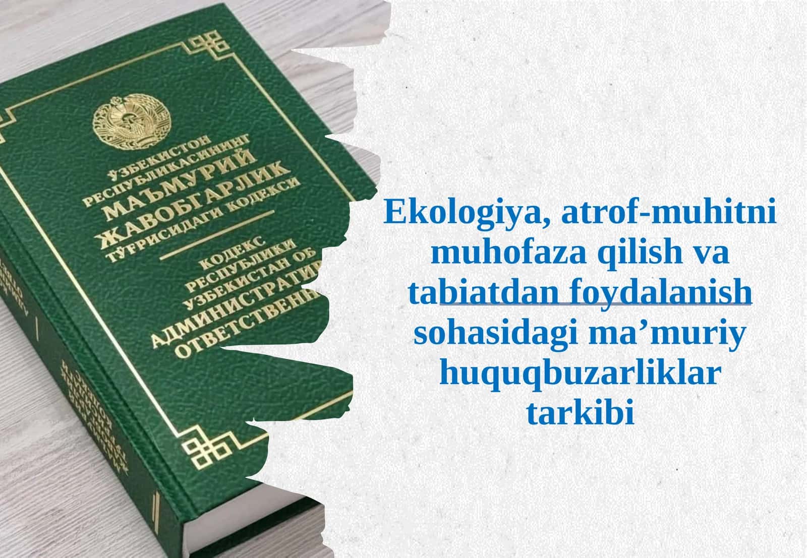 Ekologiya, atrof-muhitni muhofaza qilish va tabiatdan foydalanish sohasidagi ma’m