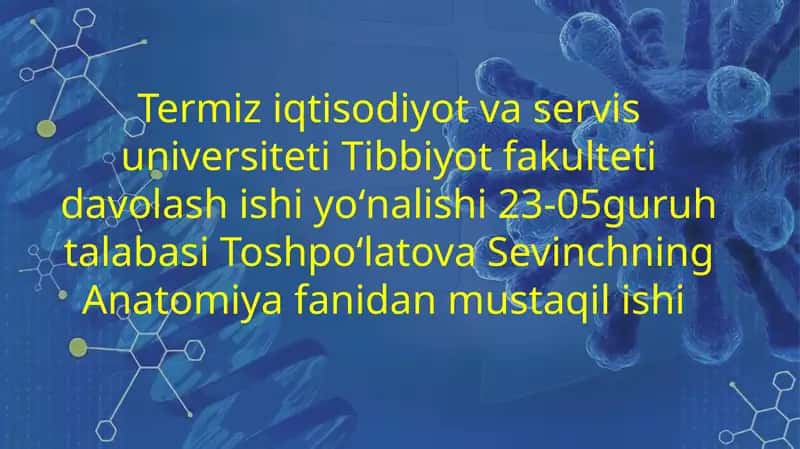 Gipotalamus oʻzaklari va ularning klinik ahamiyati