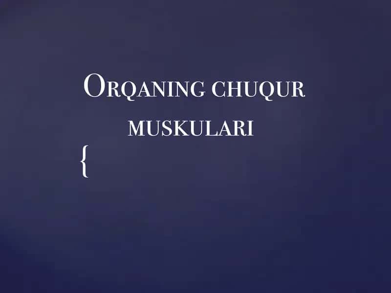 Orqaning chuqur muskullari