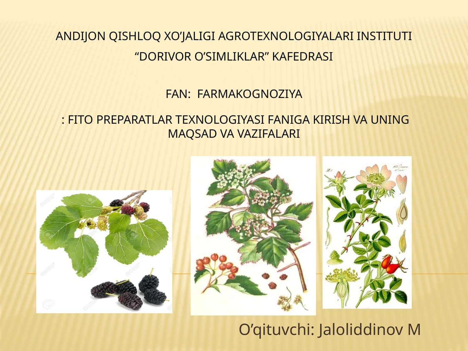 FAN: FARMAKOGNOZIYA: FITO PREPARATLAR TEXNOLOGIYASI FANIGA