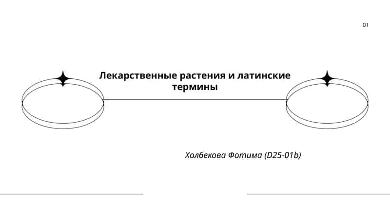 Лекарственные растения и латинские термины